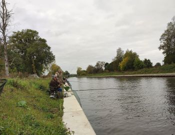 SPŁAWIKOWE ZAWODY NA ZAKOŃCZENIE SEZONU - KANAŁ MIODUŃSKI, 6 PAŹDZIERNIKA 2024 R.